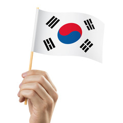 Hand holding flag of South Korea, isolated on white background