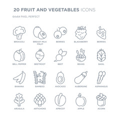 Collection of 20 FRUIT AND VEGETABLES linear icons such as Broccoli, Breast milk fruit, Apricot, Artichoke, Arugula, Berries line icons with thin line stroke, vector illustration of trendy icon set.