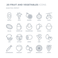 Collection of 20 FRUIT AND VEGETABLES linear icons such as Papaya, Palm, Guava, Hazelnut, Horseradish, Olive, Mango, Lemon line icons with thin line stroke, vector illustration of trendy icon set.