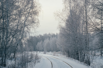 railway in winter forest