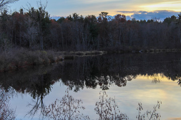 dark reflection of trees in the river