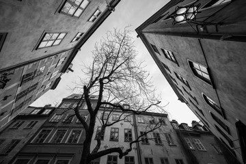 walk through old town of Gamla Stan in Stockholm, Sweden