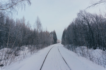 railway in the forest