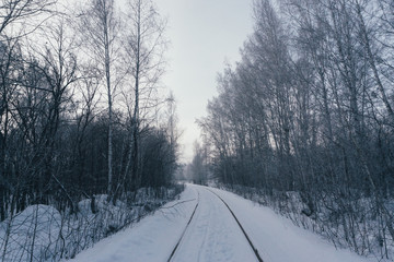 railway in the forest