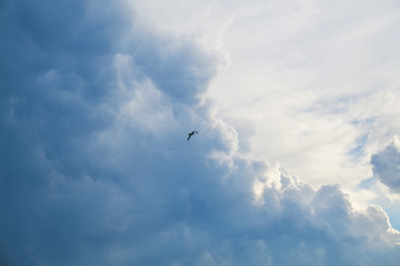 Obraz premium Amazing Clouds and Sky