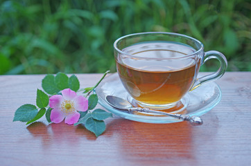 Wild rose tea and flowers dog rose