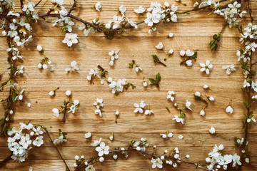 Spring flowering branch on wooden background.