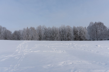 Park in snow. Minsk, Belarus