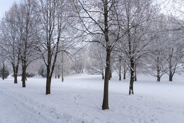 Park in snow. Minsk, Belarus