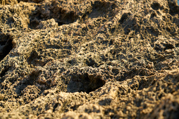 Rock texture and background
