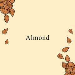 Almond vector illustration in cartoon style. Perfect for menu, card design