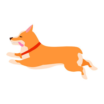 recommend clip art: Happy cute dog. Welsh Corgi. Puppy fun runs, sticking out his tongue.