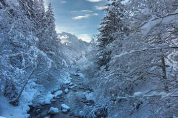 Fototapeta na wymiar Winter an einem Gebirgsfluß in den Alpen