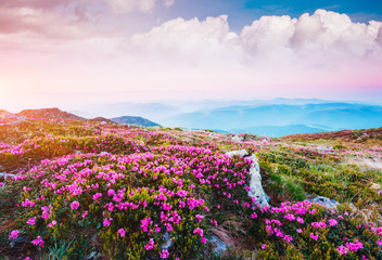 Captivating scene of the alpine valley in sunlight. Location place Carpathian Ukraine, Europe.