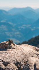 Smartphone HD wallpaper of beautiful alpine view at the Kehlsteinhaus - Eagle s Nest - Berchtesgaden - Bavaria - Germany