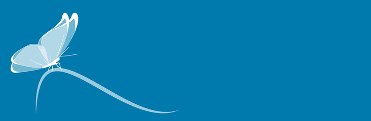 Papillon blanc sur fond bleu-bannière © lil_22
