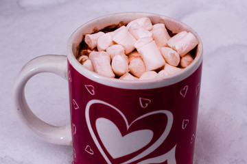 Cup of warm chocolate with marshmallow
