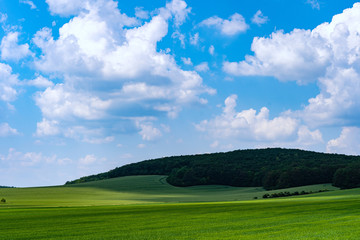 Green field and blue sky.