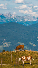 Fototapeta na wymiar Smartphone HD wallpaper of beautiful alpine view at Wagrain - Salzburg - Austria