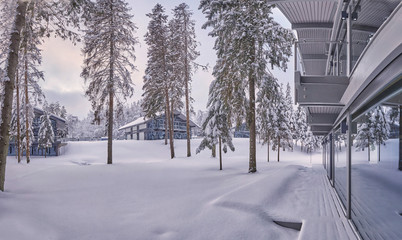 Wooden Finnish house in winter forest covered with snow