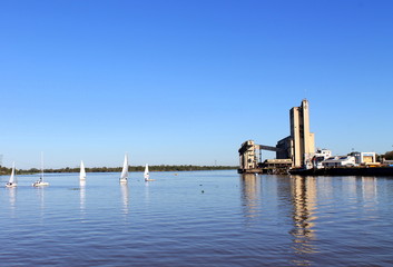 Naklejka premium veleros