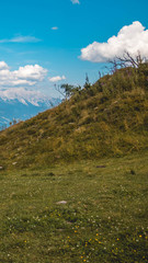 Smartphone HD wallpaper of beautiful alpine view at Wagrain - Salzburg - Austria