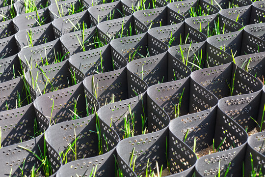 Green grass in a plastic black honeycomb frame to prevent soil erosion on the slope