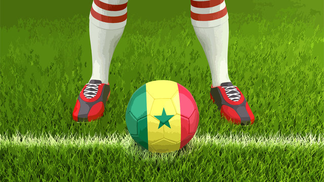 Man and soccer ball  with Senegal flag 