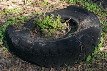 Fototapeta na wymiar Discarded car tire in the forest. Concept of pollution by garbage ecology, destruction of nature.