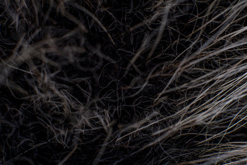 Fototapeta na wymiar Long wool on a dark background