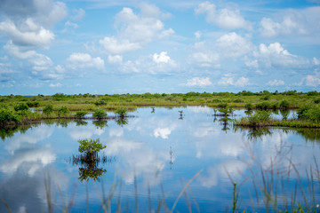 View across water, wetlands with mirror reflection of sky and clouds