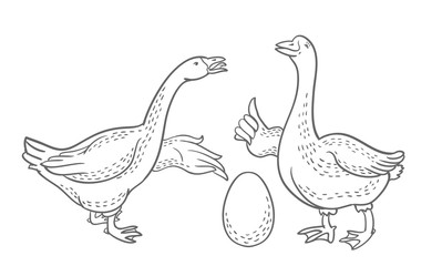 Fototapeta na wymiar Two geese, goose egg outline drawing, cartoon funny goose