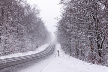 Schneebedeckte strasse im wald