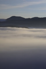 Background with fresh air, magic light and dense fog cover forest in the plateau at dawn. Beautiful original photo used for tourism advertising, design, printing, newspapers and more