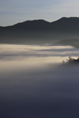 Background with fresh air, magic light and dense fog cover forest in the plateau at dawn. Beautiful original photo used for tourism advertising, design, printing, newspapers and more