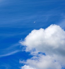 Cloud and Man on Parachute Wing