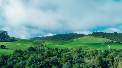 Waitomo countryside, panoramic view of New Zealand hills in spring