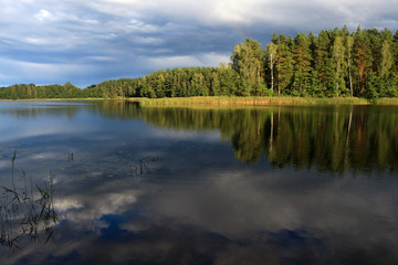 Beautiful landscape of forest lake in Lithuania.