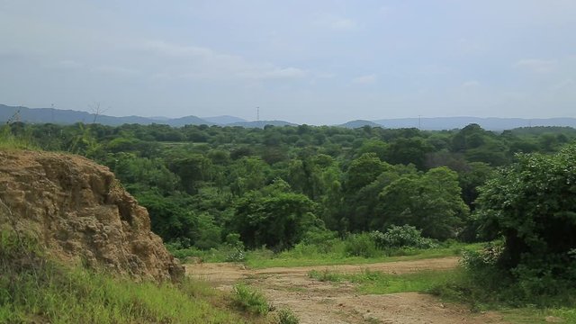 Naturaleza, lagunas, lagos, paisajes, flores, mariposas, vegetacion, plantas