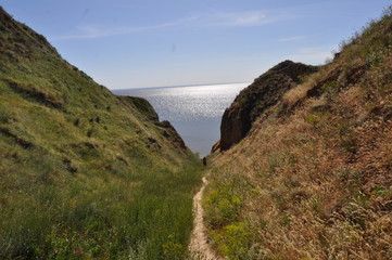 landscape with ocean