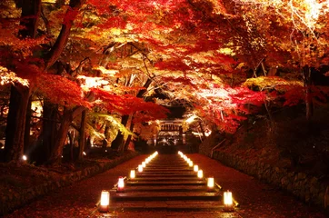 Keuken foto achterwand Kyoto Herfstbladeren van de Bishamon-do-tempel in Kyoto