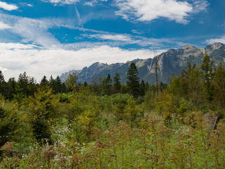 Landschaften des oberen Rheintals