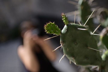 Cactus con espinas