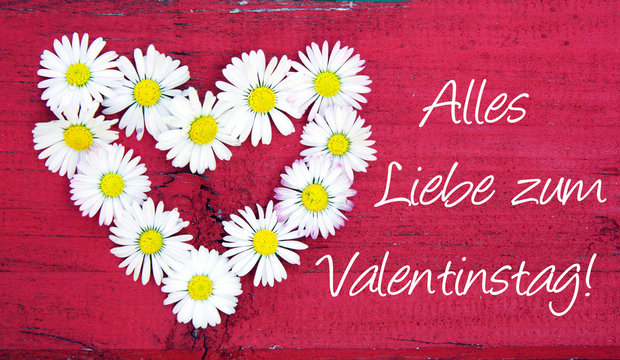 Valentinstag, Alles Liebe zum Valentinstag, Herz, Gänseblümchen