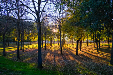 夕陽の公園 スペイン セゴビア