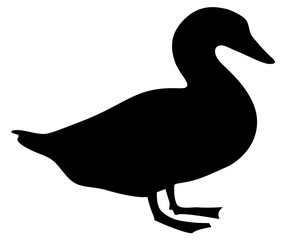 Duck icon isolated on white background vector eps 10