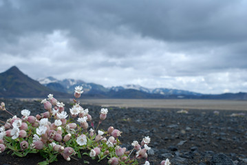 Landmannalaugar 