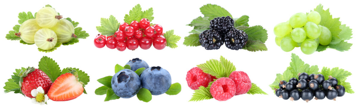 Sammlung Beeren Erdbeeren Blaubeeren Weintrauben Trauben rote Johannisbeeren Fr&uuml;chte isoliert Freisteller freigestellt