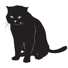 Cat black silhouette on white vector illustration