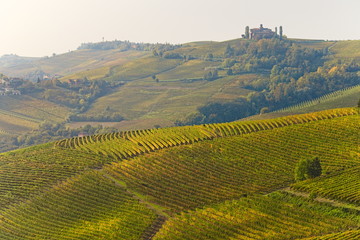 View on rows of vineyards in autumn in the Langhe region, Piedmont, Italy